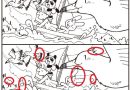 【正解発表】７つのエラー『ウミネコ・海猫』