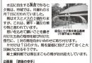 幸手の夏の年中行事　七夕馬（まこもの馬）