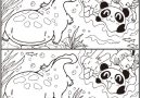 ７つのエラー『オオサンショウウオ・大山椒魚』