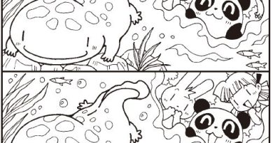 ７つのエラー『オオサンショウウオ・大山椒魚』