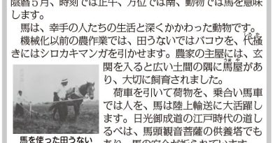 午年にちなんで、干支セトラ「幸手と馬」