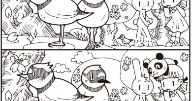 ７つのエラー『コチドリ・小千鳥』